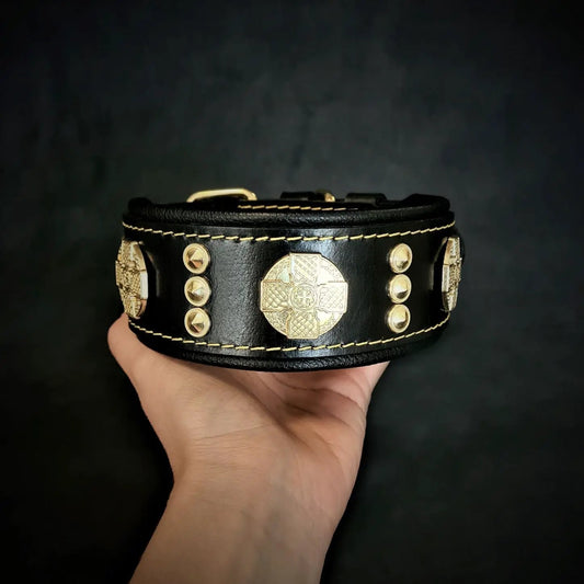 Maximus Collar with Gold Decoration black leather dog collar with gold studs and Bestia medallion on Tampa Home & Garden Store