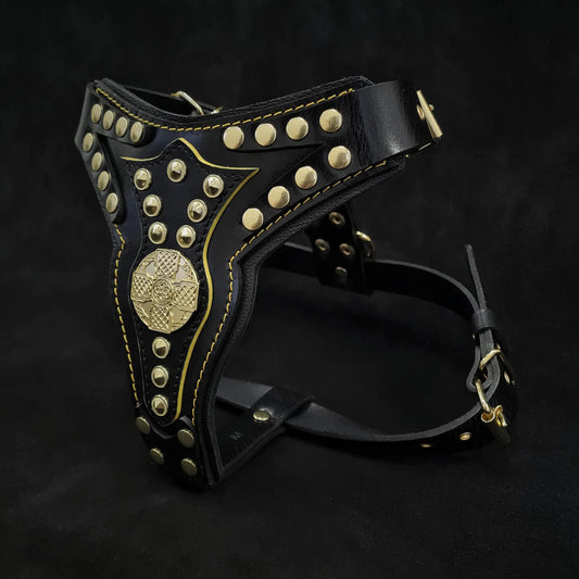 Maximus Harness V2 Medium black leather dog harness with gold studs Bestia Dog Gear on Tampa Home & Garden Store