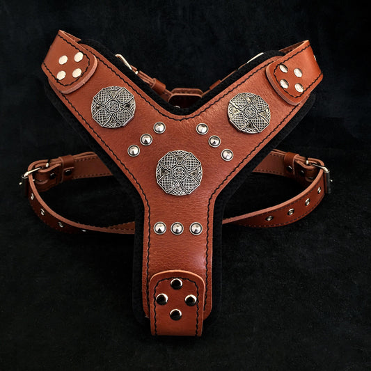 The "Maximus" silver harness - Tampa Home & Garden Store
