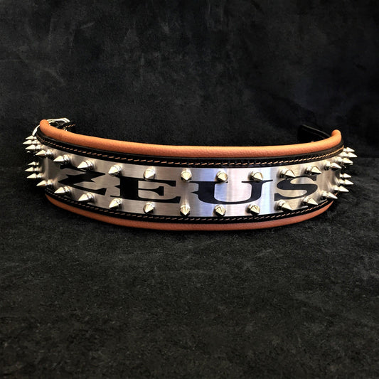 The "Metal" collar- personalized! - Tampa Home & Garden Store