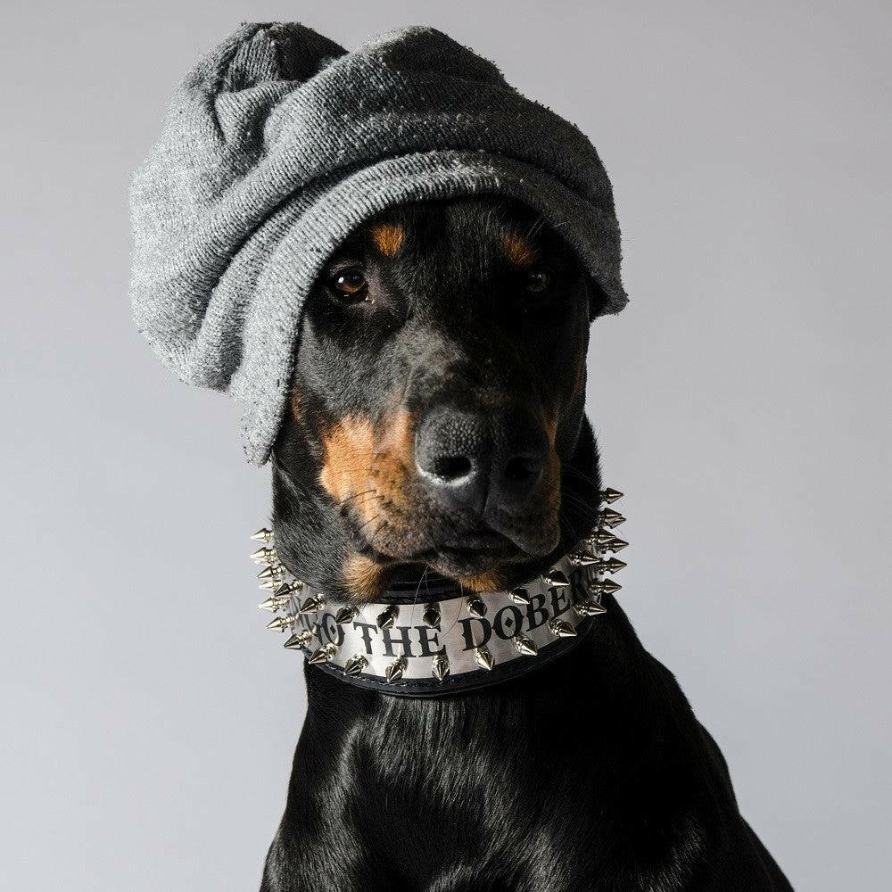 The "Metal" collar- personalized! - Tampa Home & Garden Store