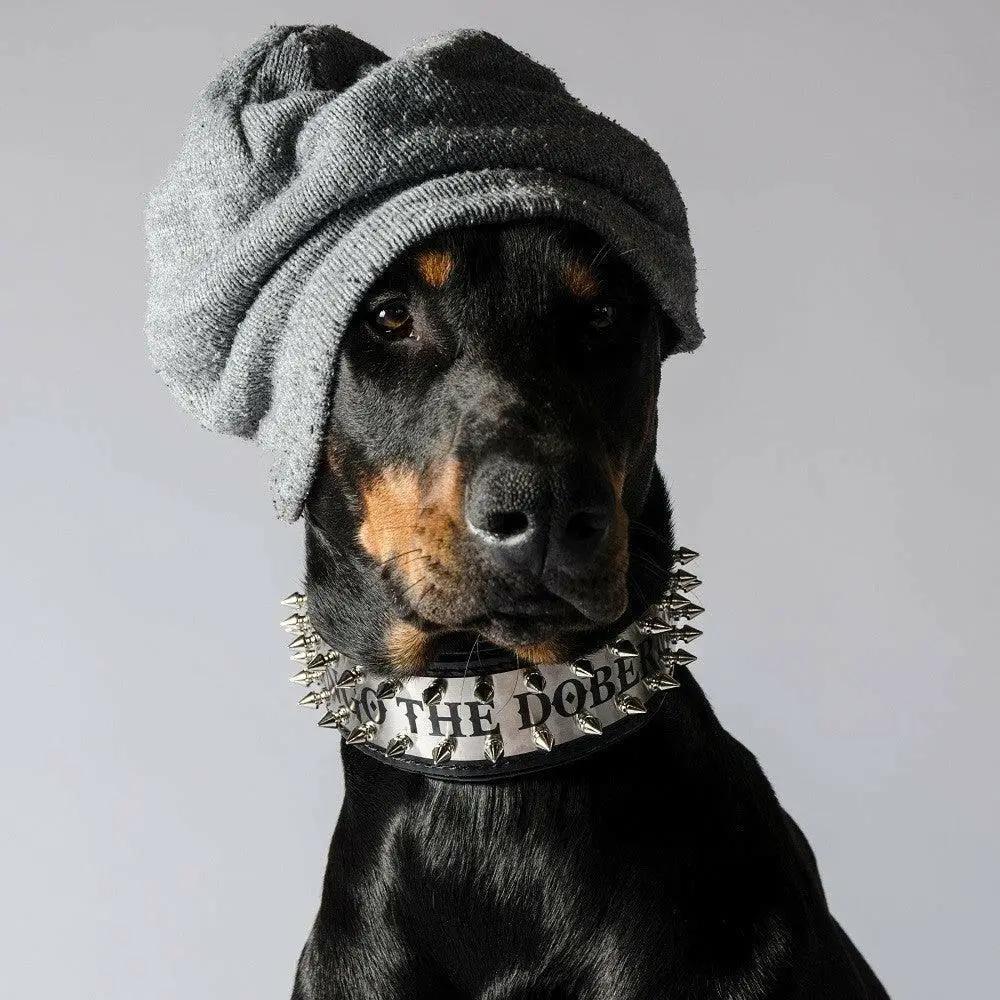 Metal Collar with Personalized Plate and Spikes in silver by Bestia Dog Gear on a black dog on Tampa Home & Garden Store