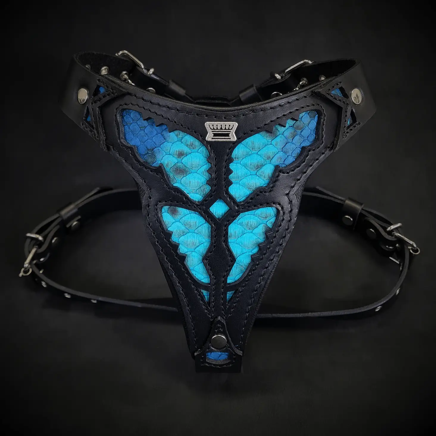 Morelia Python Leather Harness Medium, blue scale panels with black leather trim on Tampa Home & Garden Store