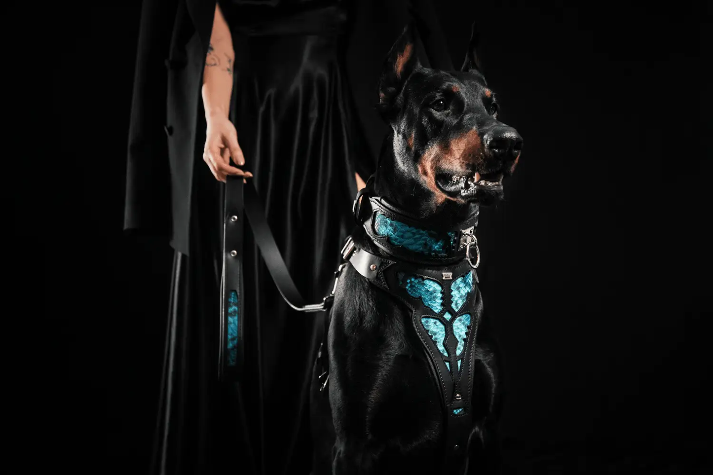Morelia Python Leash with python-pattern leather, black Bestia Dog Gear on Tampa Home & Garden Store