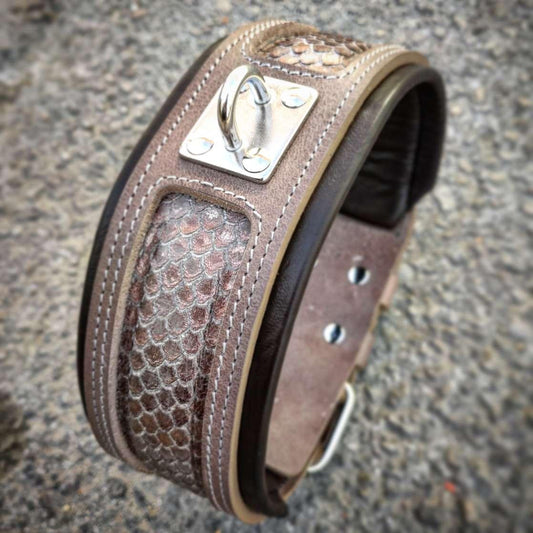 The ''Python'' exclusive design - Tampa Home & Garden Store