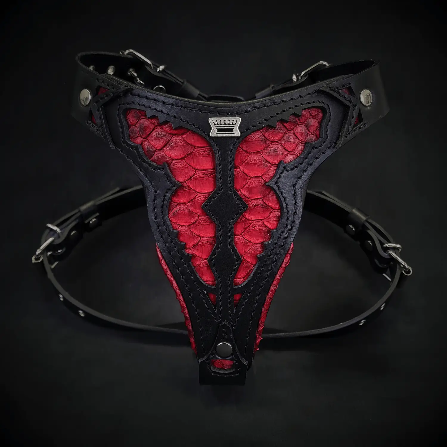 Red dragon-pattern medium dog harness by Bestia Dog Gear with black trim and metal hardware on Tampa Home & Garden Store