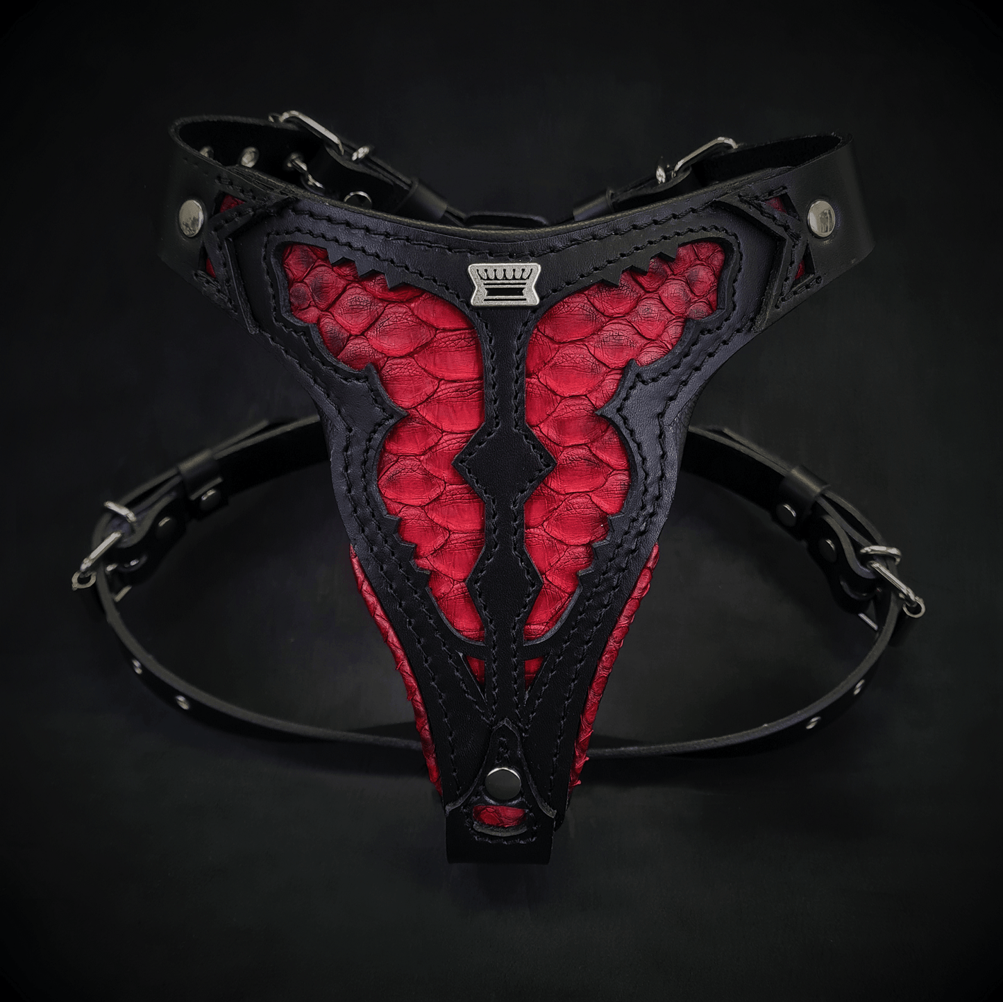 The ''Red Dragon'' harness Medium Size - Tampa Home & Garden Store