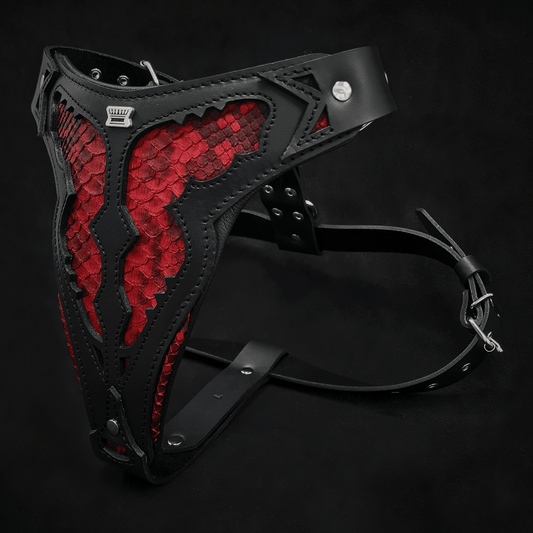 The ''Red Dragon'' harness - Tampa Home & Garden Store