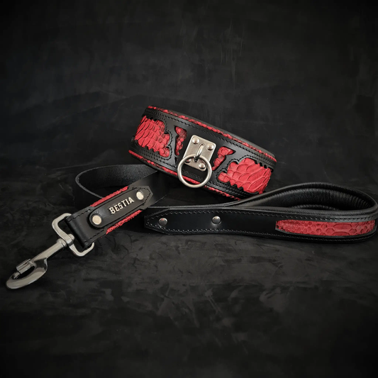 Red Dragon leather leash with Python Pattern by Bestia Dog Gear, black trim and metal hardware on Tampa Home & Garden Store