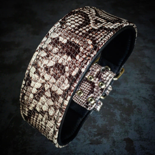 The ''Rock Python'' collar - Tampa Home & Garden Store