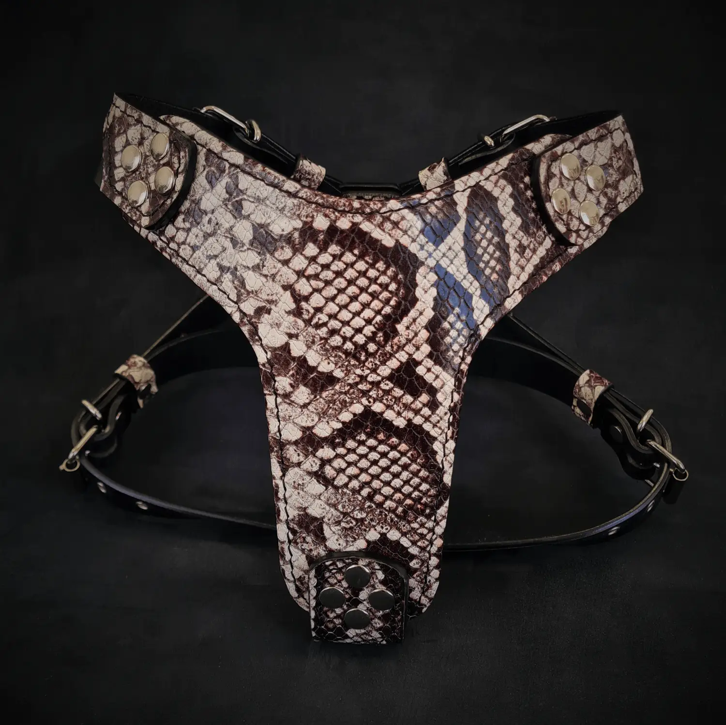 Rock Python harness for small to medium dogs in brown snake pattern with studs and black straps on Tampa Home & Garden Store