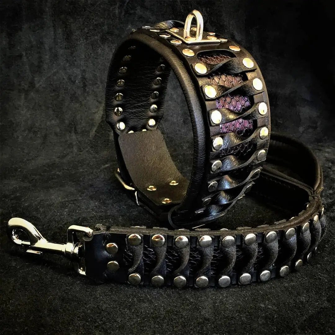 Dog Leash Steampunk Leather with Snake Skin Pattern, black leather with metal studs on Tampa Home & Garden Store
