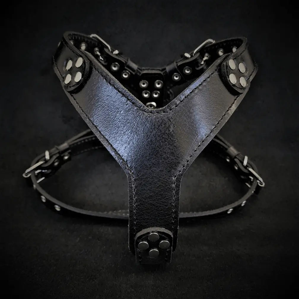 Style Leather Dog Harness Black, size S to M, Bestia Custom Dog Gear; riveted Y-strap design on Tampa Home & Garden Store