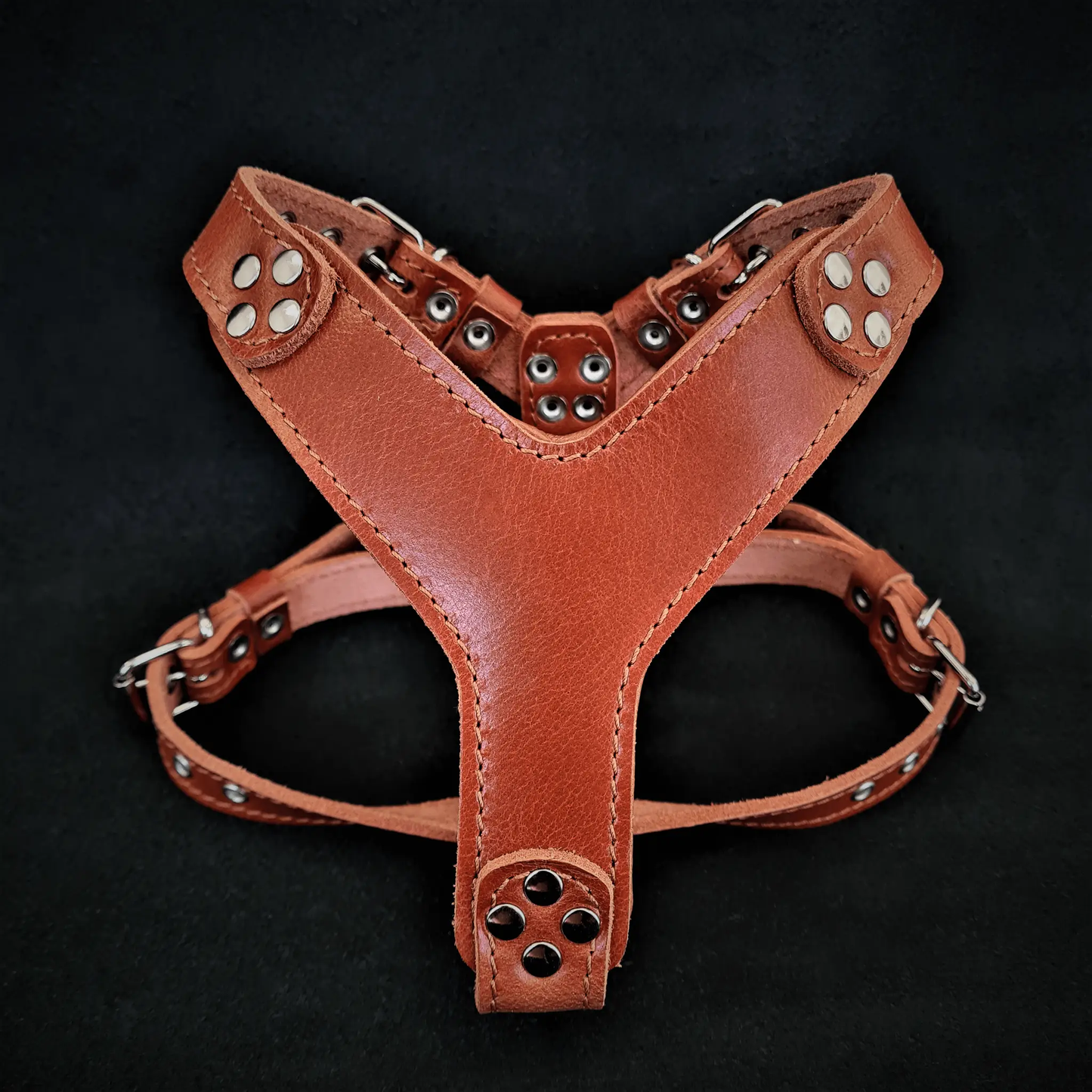 Style leather harness brown for small to medium dogs by Bestia Dog Gear leather with rivets on Tampa Home & Garden Store