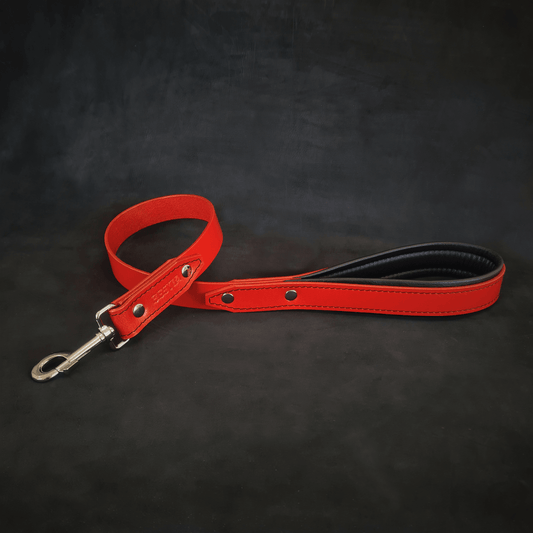 The "Style" leash - Tampa Home & Garden Store