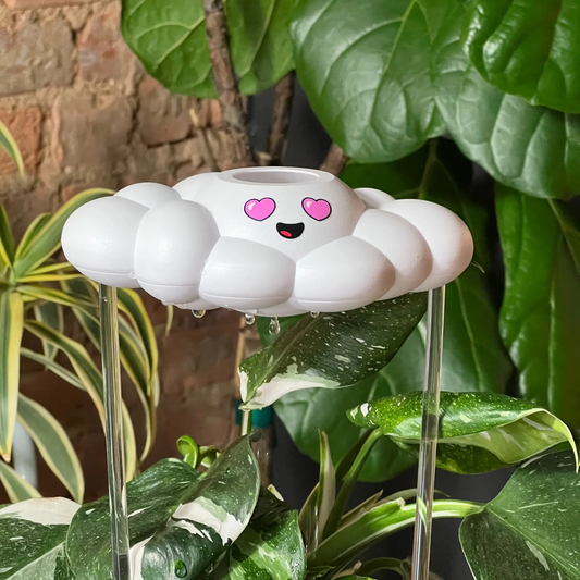 Chloe the Cloud watering can, white cloud-shaped design by The Cloud Makers for houseplants on Tampa Home & Garden Store