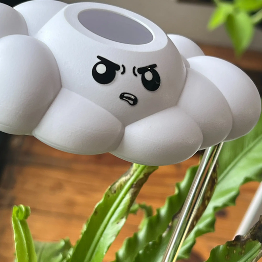Cliff the Cloud plush white cloud face, house plant accessory by The Cloud Makers on Tampa Home & Garden Store