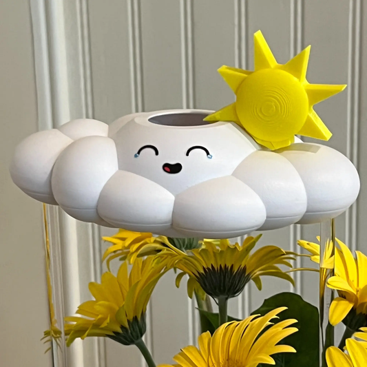 Misty the Cloud decorative rain cloud planter, white with yellow sun, for houseplants on Tampa Home & Garden Store