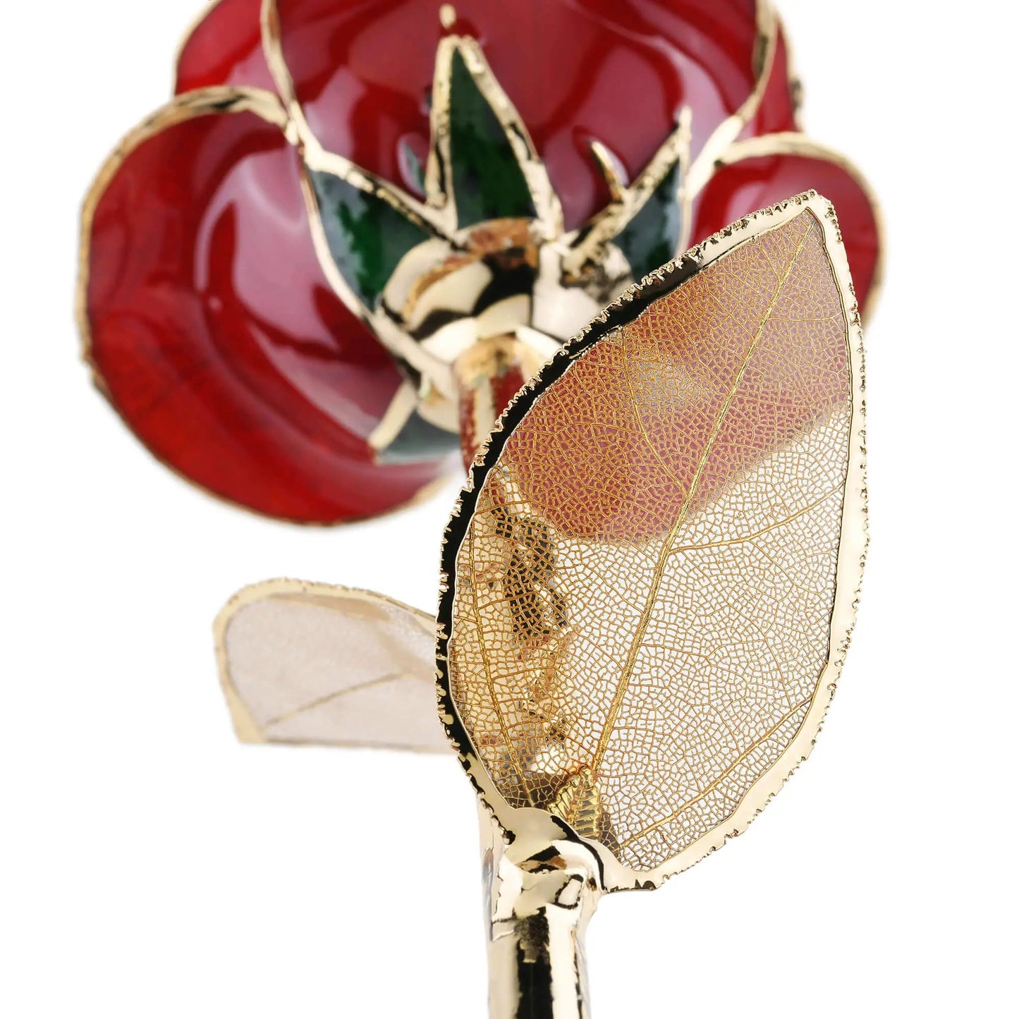 Timeless Rose 24K Gold Dipped Keepsake red rose with gold leaf accents on Tampa Home & Garden Store