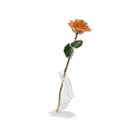 Timeless Rose Pear Gold Dipped sculpture by ROSEPHORIA with orange petals on acrylic base on Tampa Home & Garden Store