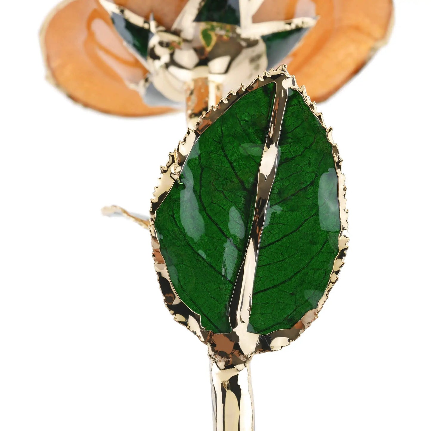 Timeless Rose Pear Gold Dipped emerald-green leaf with gold edge on Tampa Home & Garden Store