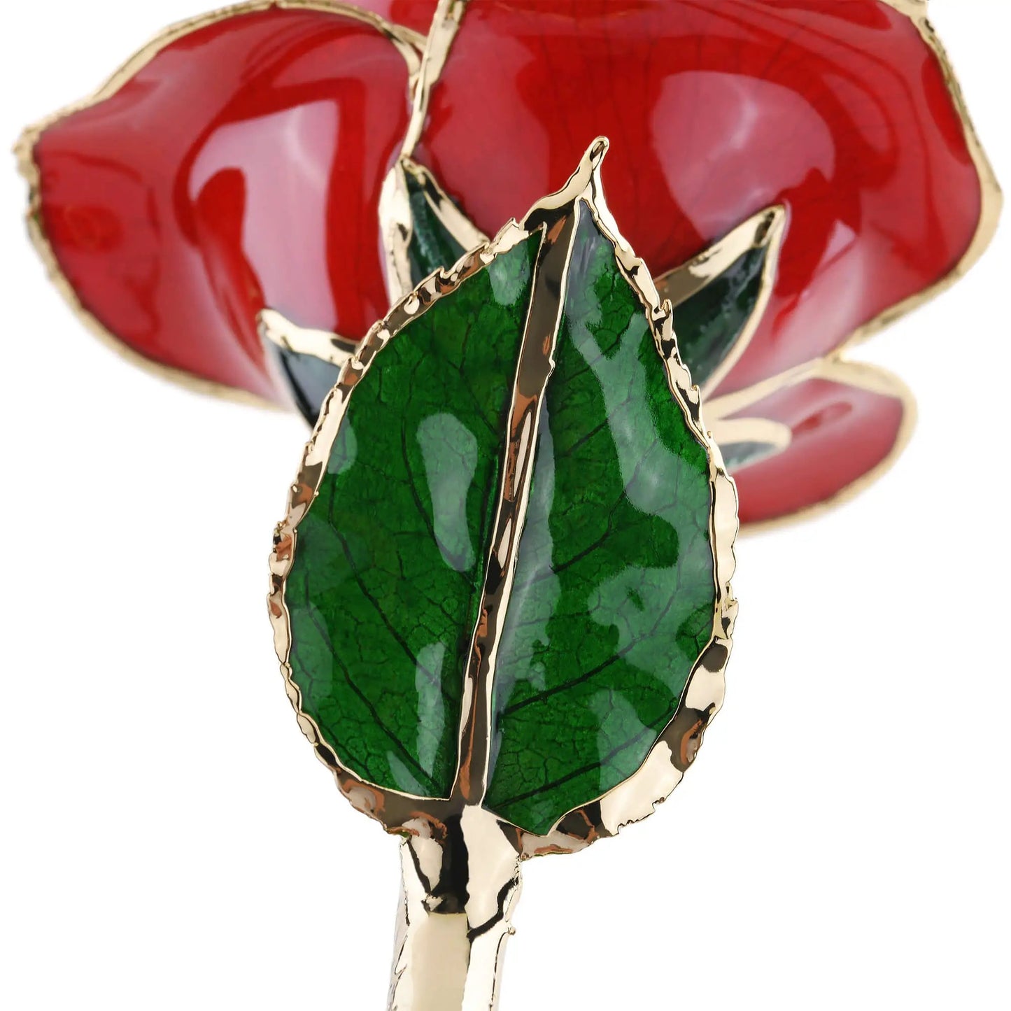 Timeless Rose keepsake with red petals and gold-edged green leaves ROSEPHORIA on Tampa Home & Garden Store