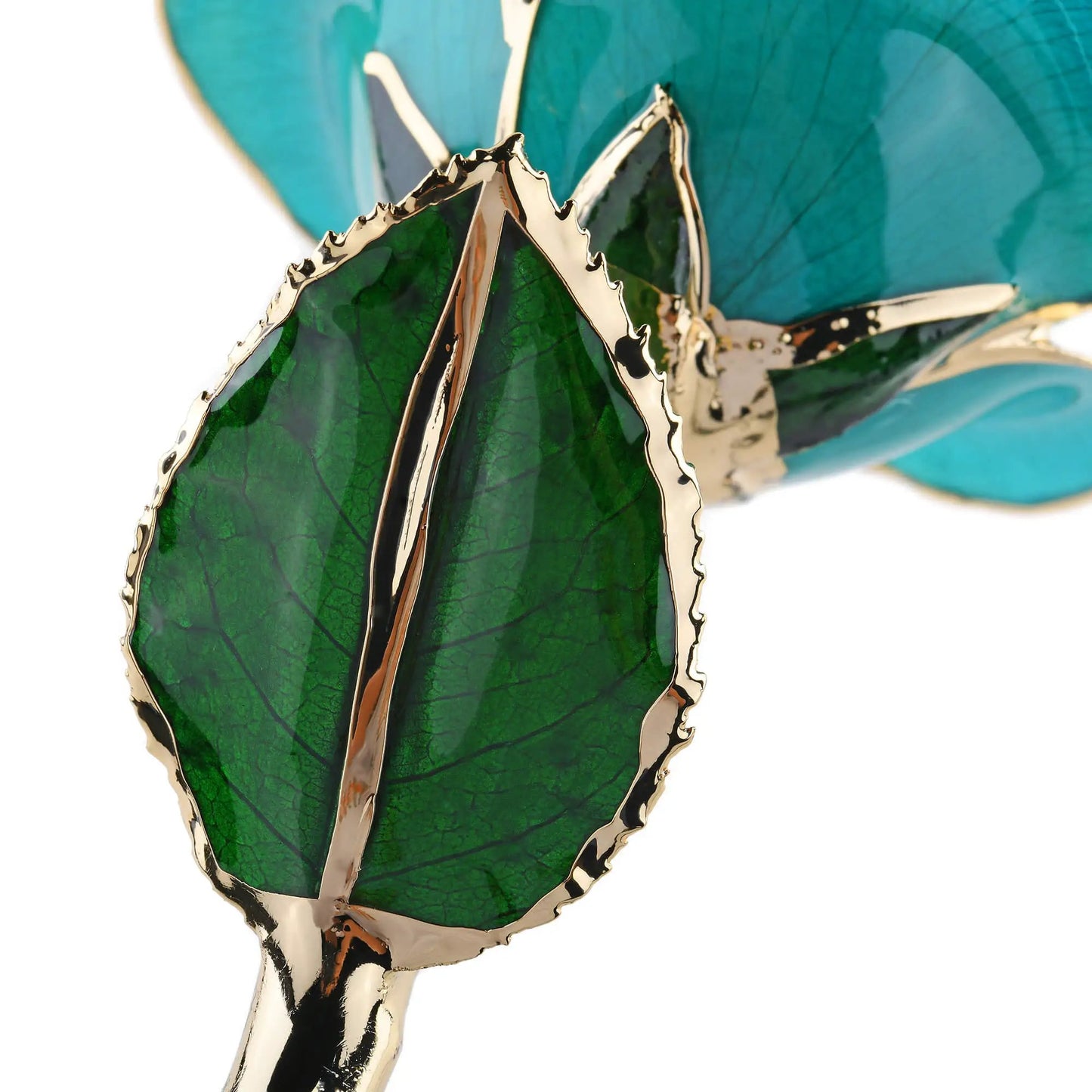 Timeless Rose Teal Gold Dipped Forever green leaves with gold trim on teal backdrop on Tampa Home & Garden Store