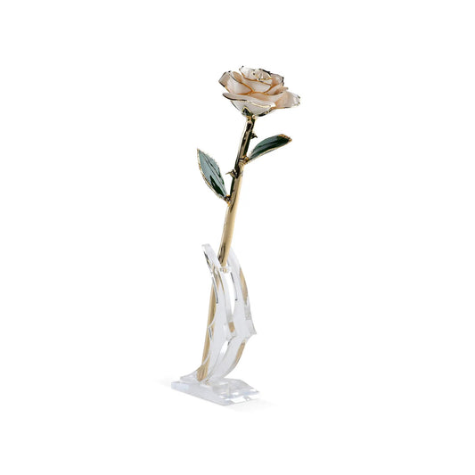 Timeless Rose White 24K Gold Dipped by ROSEPHORIA on clear acrylic stand on Tampa Home & Garden Store