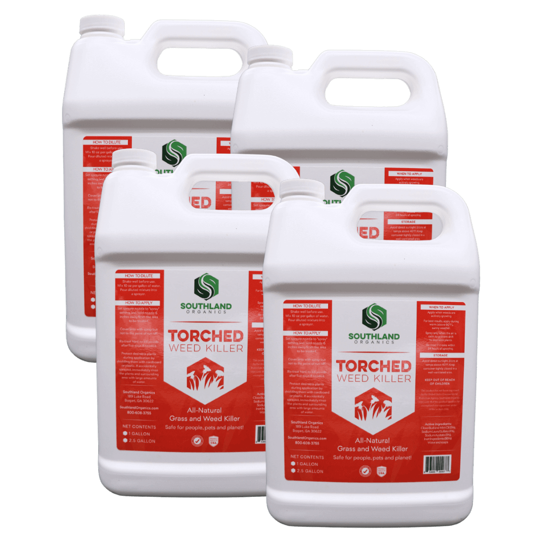 Torched Weed Killer Torched Herbicide | Natural - Tampa Home & Garden Store