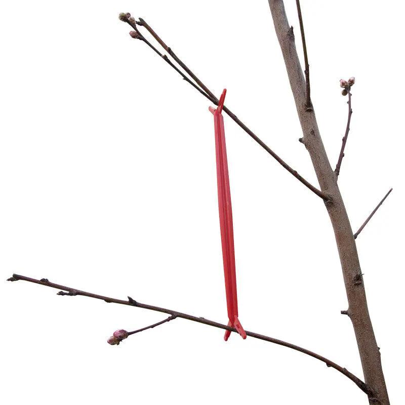 Tree limb spreader, red plastic training tool for fruit trees on Tampa Home & Garden Store
