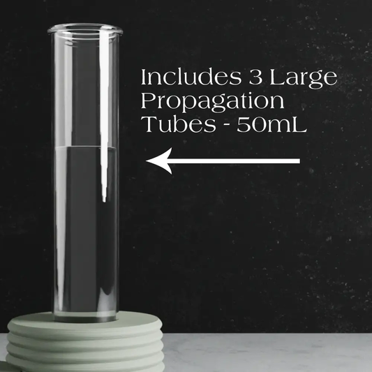 Triple Bubble Propagation Station with clear glass tubes on a pale green ribbed base on Tampa Home & Garden Store