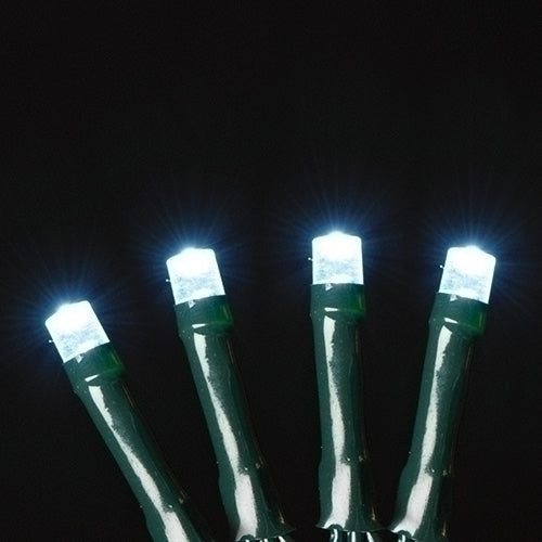 USB powered 100 LED (26 foot) Green Wire Multifunction Lights with Timer - Cool White - Tampa Home & Garden Store