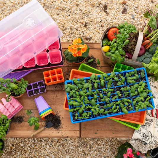 Backyard Gardener Seed Starter Tray Bundle: colorful plastic seed tray kits for starting seeds on Tampa Home & Garden Store