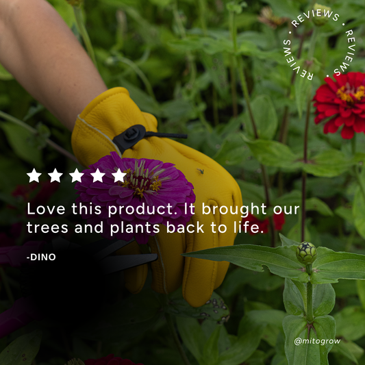 Outdoor Bundle fertilizer by MitoGrow in a gardener's yellow glove tending pink zinnia blooms on Tampa Home & Garden Store