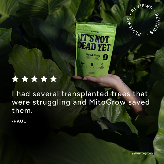 Tree & Shrub outdoor fertilizer bag by MitoGrow with IT'S NOT DEAD YET label, green packaging on Tampa Home & Garden Store