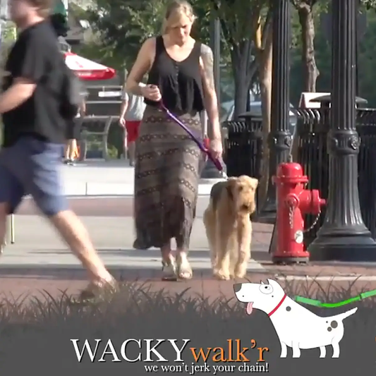 Urban Walk'r Shorter No Pull Leash for City Dogs, purple leash by WACKYstore on Tampa Home & Garden Store
