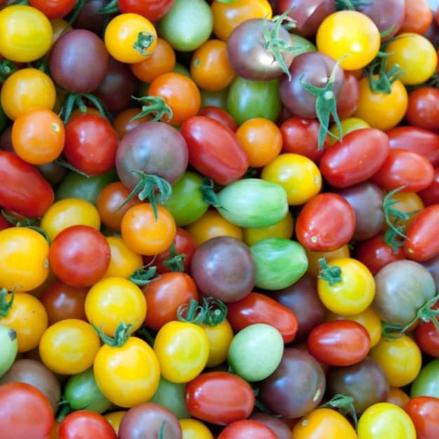 Mix Cherrylicious Tomatoes assorted colorful cherry tomatoes in red yellow green purple on Tampa Home & Garden Store