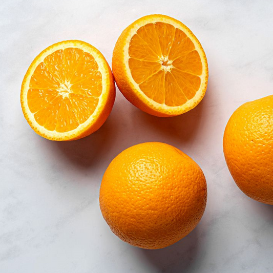 Valencia Orange Tree (Citrus × Sinensis ’Valencia’) - Tampa Home & Garden Store