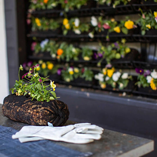 Varden soil-filled Vardensok sleeve in black fabric grow bag with soil on Tampa Home & Garden Store