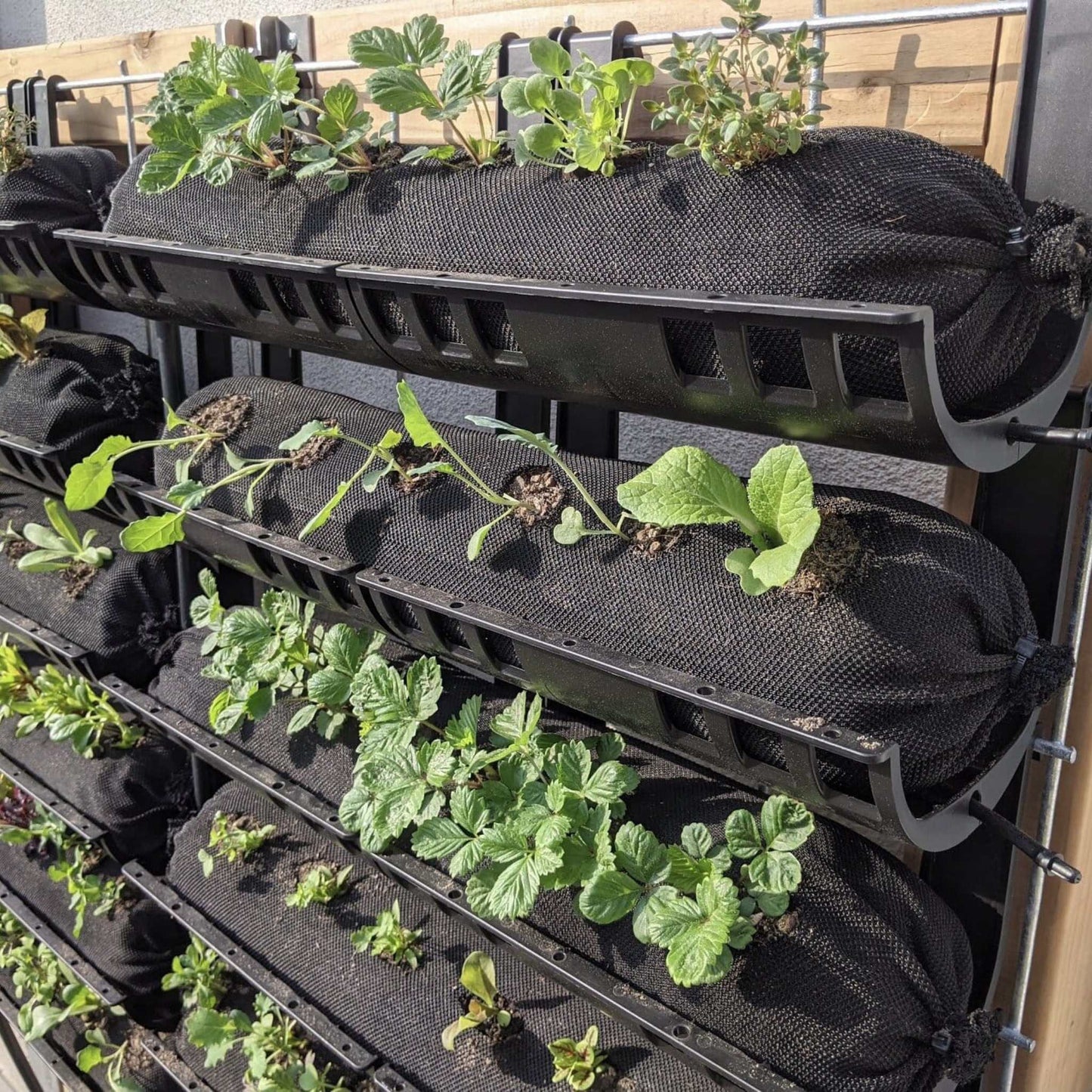 Varden™ Trays - Tampa Home & Garden Store