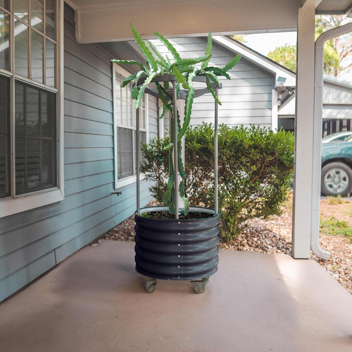 Jardinière roulante auto-arrosante Dragon Fruit