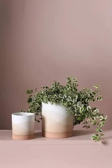 Vesper Pot planters by Terra Cotta Botanical Boutique, two white-glazed pots with greenery on Tampa Home & Garden Store