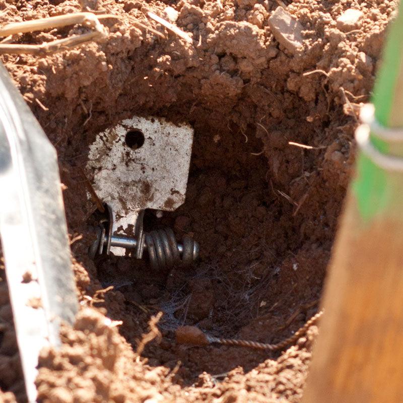 Victor Gopher Traps (Pack Of 2) - Tampa Home & Garden Store