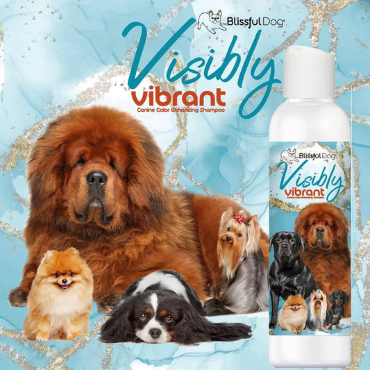 Visibly Vibrant Dog Shampoo color-enhancing by The Blissful Dog bottle with dog collage on Tampa Home & Garden Store