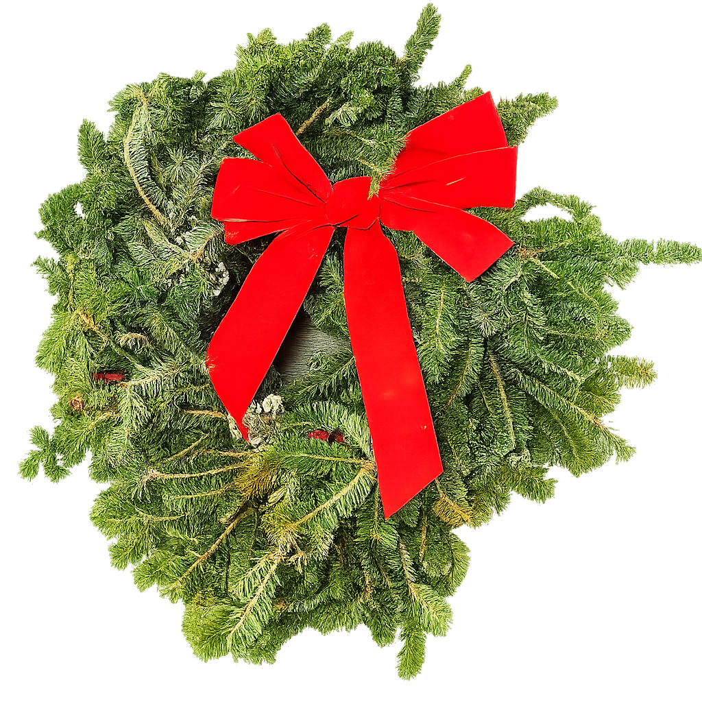 Fraser fir wreath 22-inch fresh evergreen with red bow on Tampa Home & Garden Store
