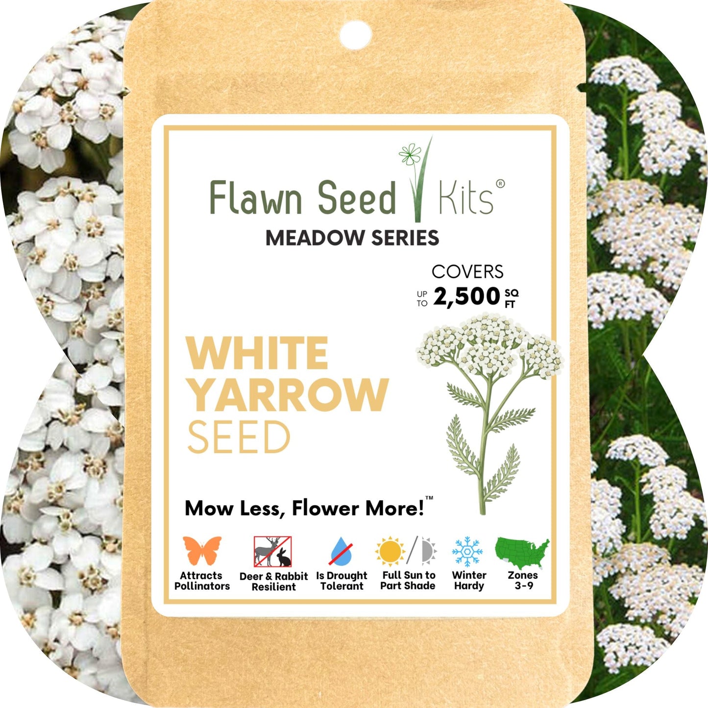 White Yarrow Seed Pouch by Flawn Seed Kits; kraft tag with plant illustration on Tampa Home & Garden Store