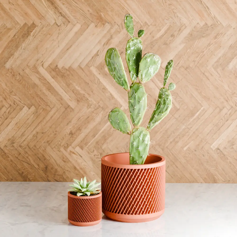 Weave Planter set: two terracotta orange planters with woven lattice, cactus and succulent on Tampa Home & Garden Store