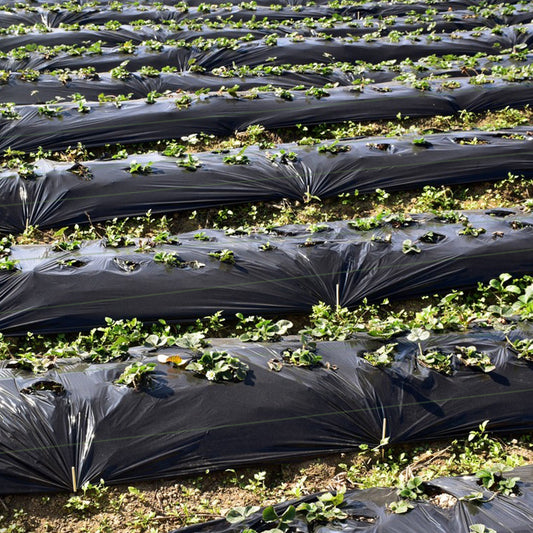 6.5 x 330/4 x 250/6 x 300 Feet Weed Barrier Landscape Fabric-6.5 ft