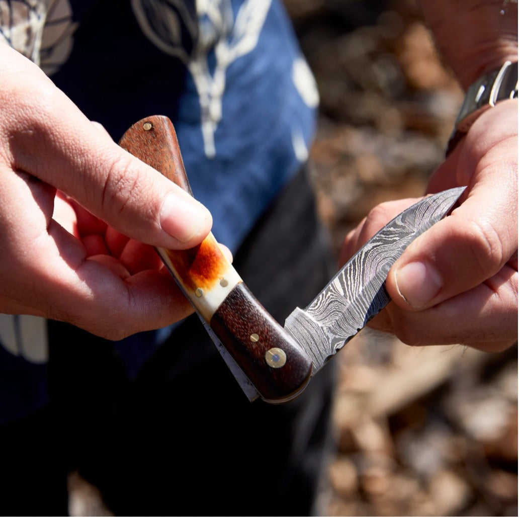 Walnut and torched bone Damascus pocket knife TF-118 with Damascus blade and locking blade on Tampa Home & Garden Store