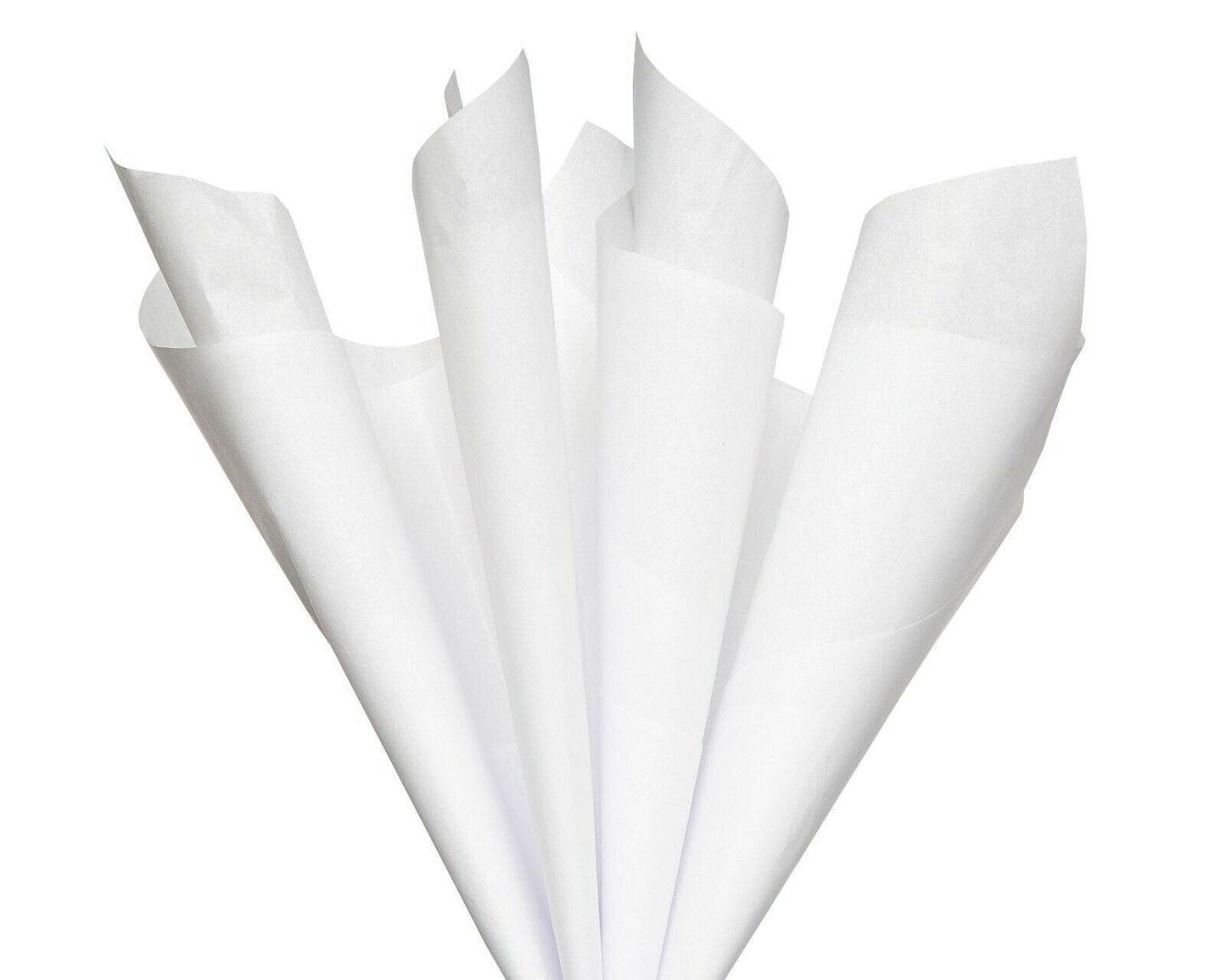 White Gift Tissue - 70 Sheets - Tampa Home & Garden Store